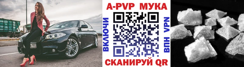 A PVP СК КРИС  Шахты 