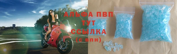 сатива Абаза