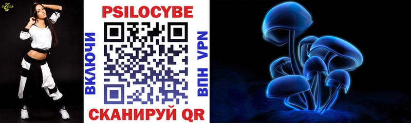 Галлюциногенные грибы Psilocybine cubensis Шахты